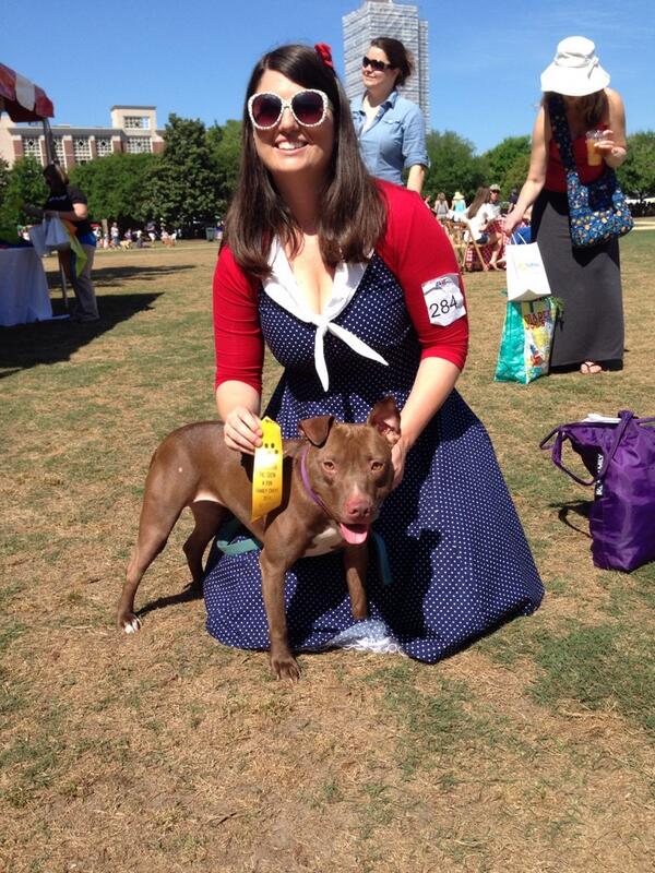 PetHelpers's tweet photo. PH Alum Piglet now named Penny won 3rd at the Charleston Dog Show! #AdoptPH http://t.co/9DUFCHBPtM