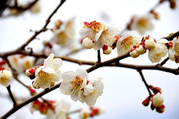 하나님의 사랑의 능력을 받아 그 능력으로 세상을 이기는 사람(요일5:4)이  복음대로 사는 사람입니다.(고전4:19,20)[도서11번가] 영원한 복음11st.kr/!AxAkBb
