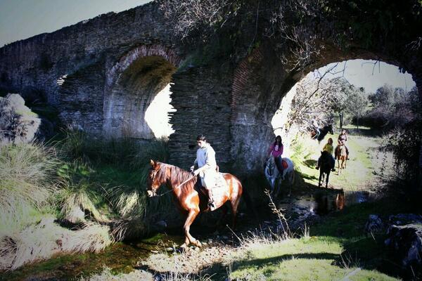 #senderismo #caballos #cabañeros  <a href="/visitcabaneros/">P.N. de Cabañeros</a>   <a href="/EcoHoteles/">Escapadas Originales</a>  <a href="/ennegrita/">ennegrita.es</a>  <a href="/ecotourismspain/">Ecotourism Spain</a>   <a href="/miratuviaje/">Mira Tu Viaje</a>