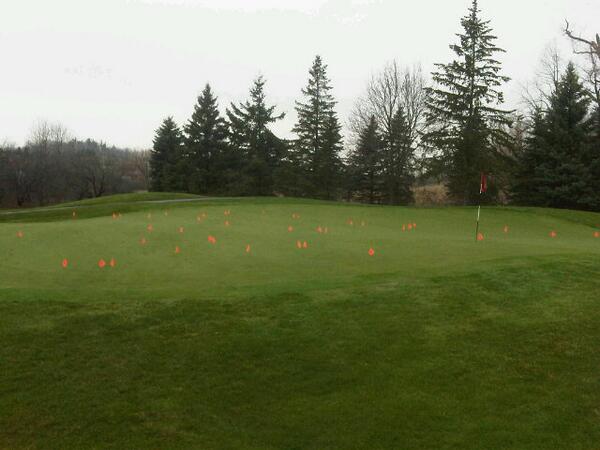 After only one day.  Each flag marks an unrepaired ball mark.  Please repair your mark for the sake of the green.