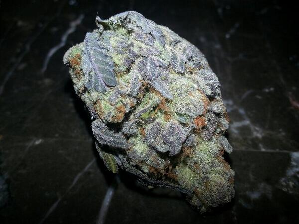 bean_sween's tweet image. Waking up to this!? Fuck yeah!! #WeedPorn
