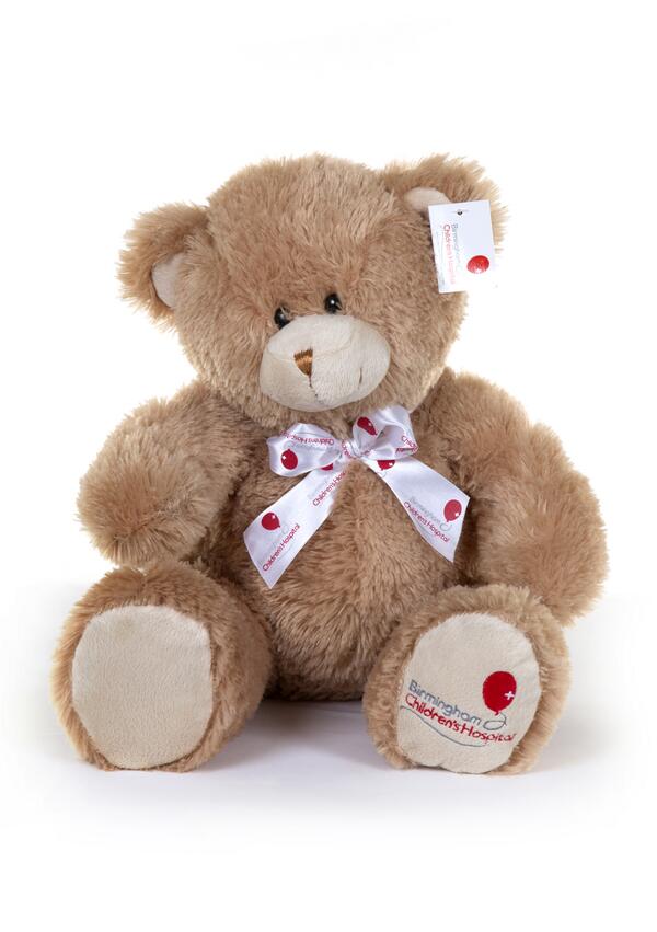 Bham_Childrens's tweet photo. Have you enjoyed following Romie's adventures? Remember you can get your own Romie for £9.99 http://t.co/Ejqd4c1DmP http://t.co/FxiF1yKY0H