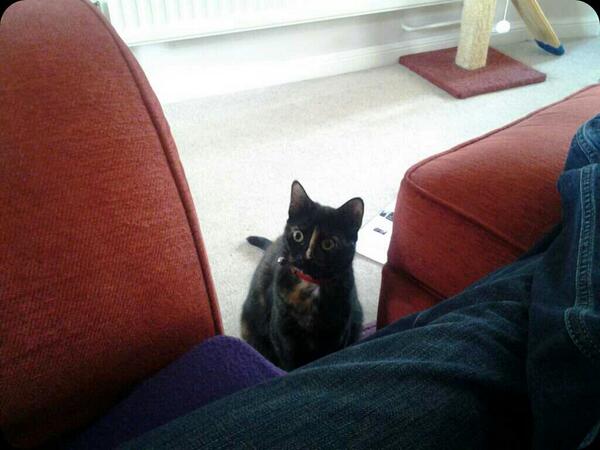 crumbcat1's tweet photo. I don't know what you got,but I want it. http://t.co/iTSukJkcS8