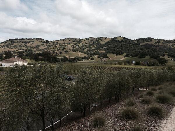 vinestowine's tweet photo. Vistas of Poetry vineyard and a pre-release tasting of the 2011 Poetry Cab! @CliffLedeWine @StagsLeapDist #sldv2v http://t.co/G2dRsbGxRz