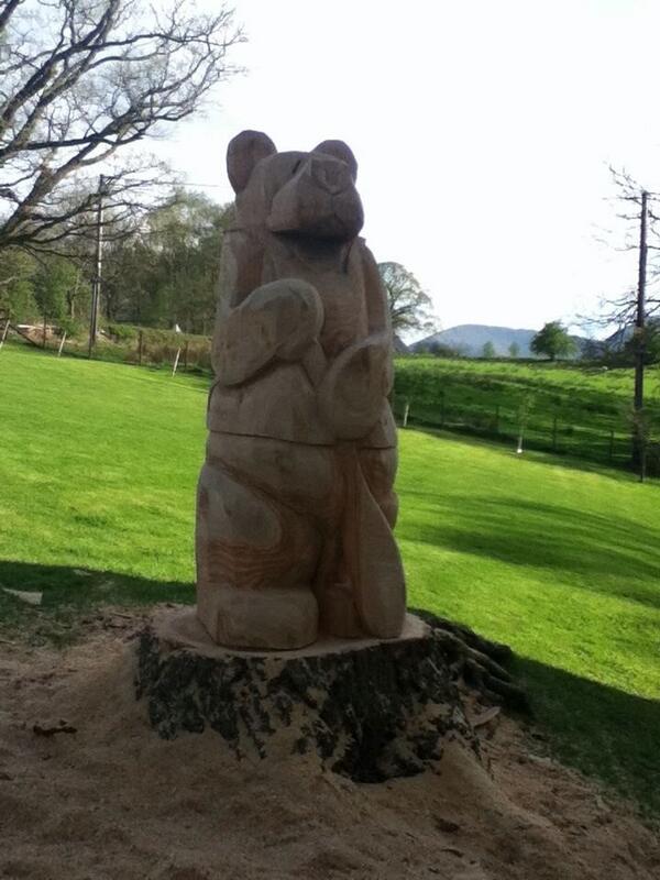 Newlands Adventure tweet media