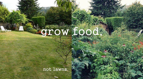 JCrooka's tweet photo. Grow food Not Lawns! #gardening #permaculture #revolution #plantsomeshit http://t.co/rlrBgLFtIp