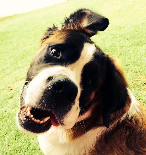 Alguien dijo mi nombre? Les mando Lengüesukis 👅💦