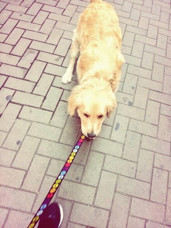 joosungwhee's tweet photo. 사람보다 동물들이 더 좋은 요즘 http://t.co/OZs3aT9ITB