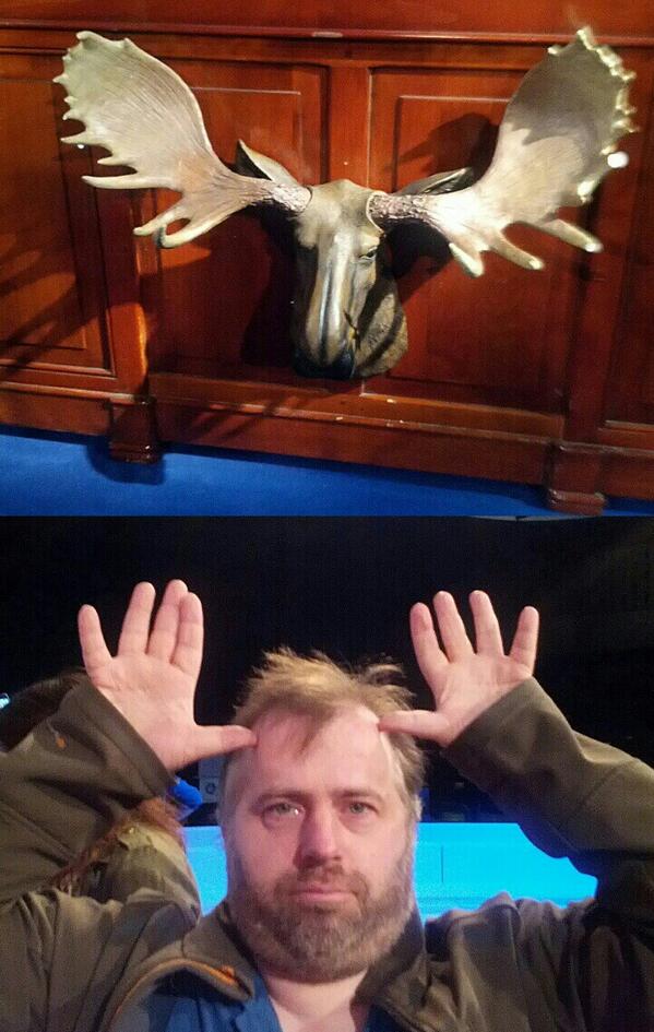 somebaudy's tweet photo. C'est original un orignal ? http://t.co/7BsoaJralD #frontback #danRTBF http://t.co/60yhfoonE6