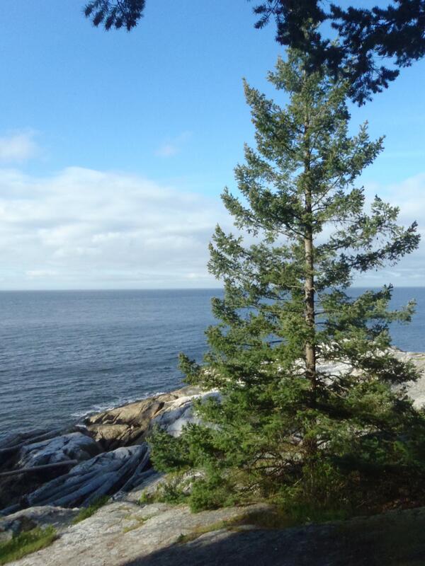 TheNewOcean's tweet image. #PortofVancouver #PointAtkinson #LighthousePark this morning. A marine protected area in #Canada's largest port.