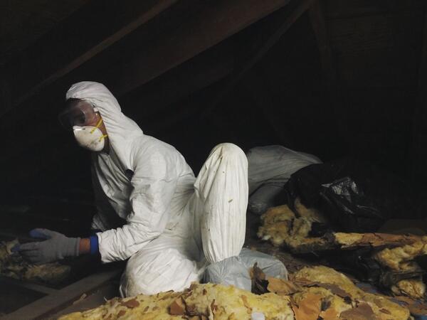 <a href="/BklynCollege411/">Brooklyn College</a> <a href="/AMSAPremed/">AMSA Premed</a> students are replacing insulation in a Sandy-damaged home in Canarsie today for #RTNRM