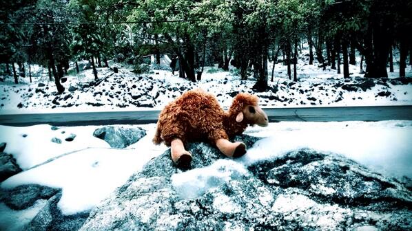 Mike Mike Mike...what day is it?? Snow Day!!