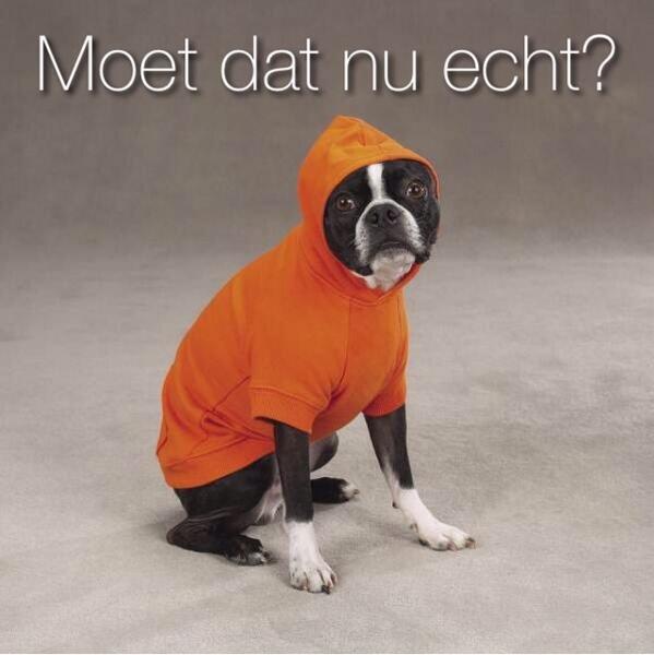 PetLifeMagazine's tweet image. 