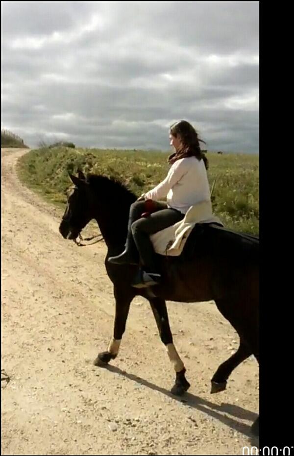 mardiagon1's tweet photo. Esta trde he probado a navi de amazona! #queprivilegio #quebuencaballo #meencanta 😍😍  @erdiaz900 http://t.co/hQYuSWP5Ff