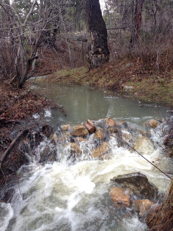 wlfcrk's tweet image. #montanaspring #runoff
