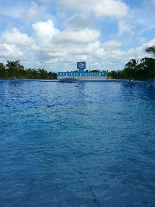_AleMH tweet picture