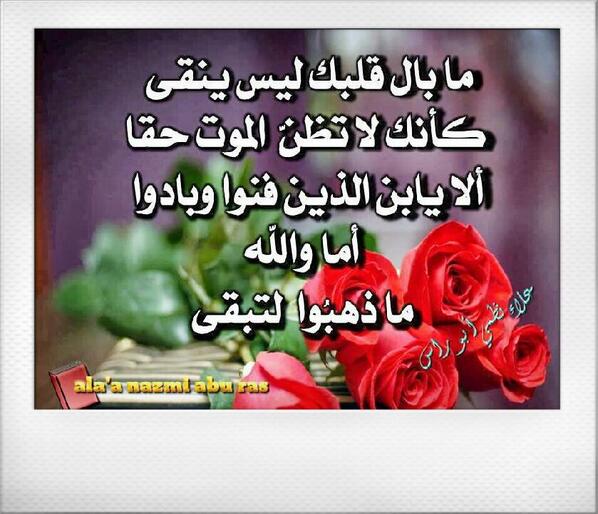 Reman205 tweet picture