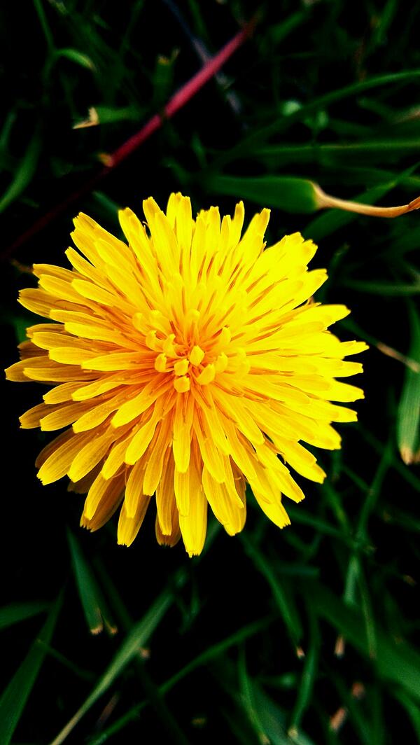 Kara Lock VanRoekel tweet media