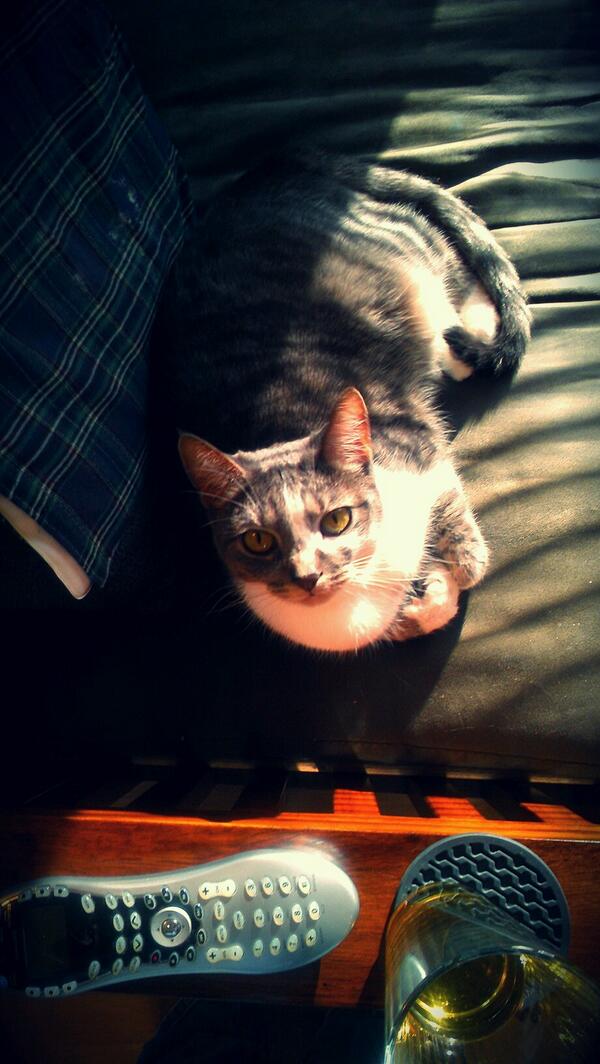 Kara Lock VanRoekel tweet media