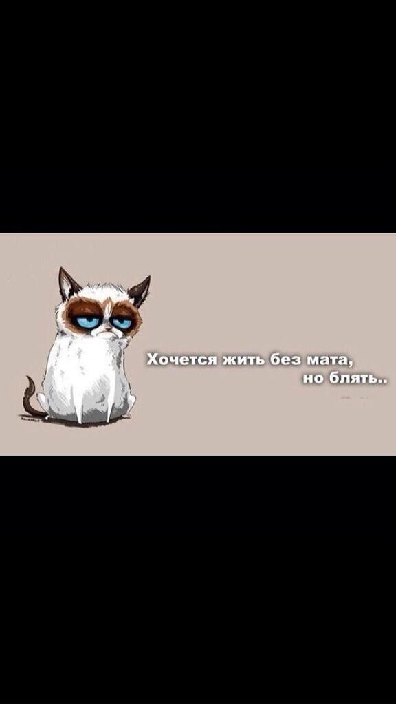 dalakyan's tweet photo. ну что уж тут поделаешь http://t.co/b9D5iikYOb