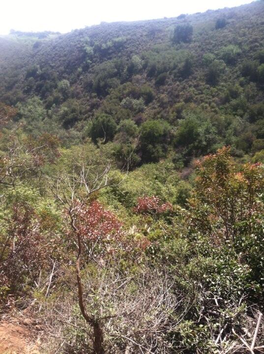 SelinaMcCale's tweet photo. Even though you needed a rope to hike up this hill, it was worth it. Esconido falls! http://t.co/jZvRtNiudl