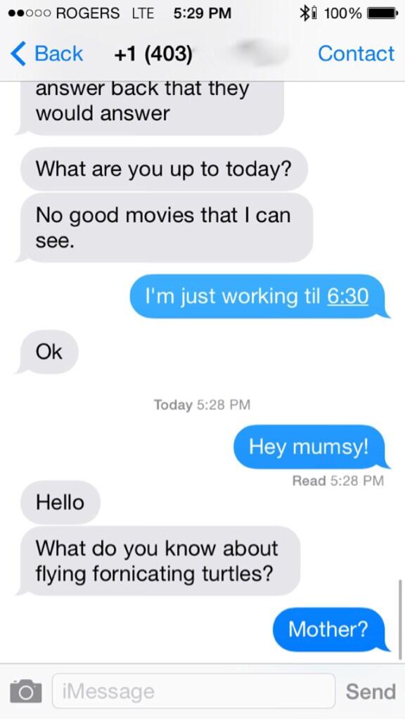 xxfur's tweet image. @cah Thank you for this! #MomsDemand #flying #fornicating #turtles