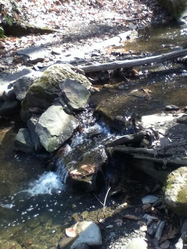 NewellCasey's tweet photo. Found a beautiful trail to take senior pics on! #freeport http://t.co/qv5b8s0Gzl