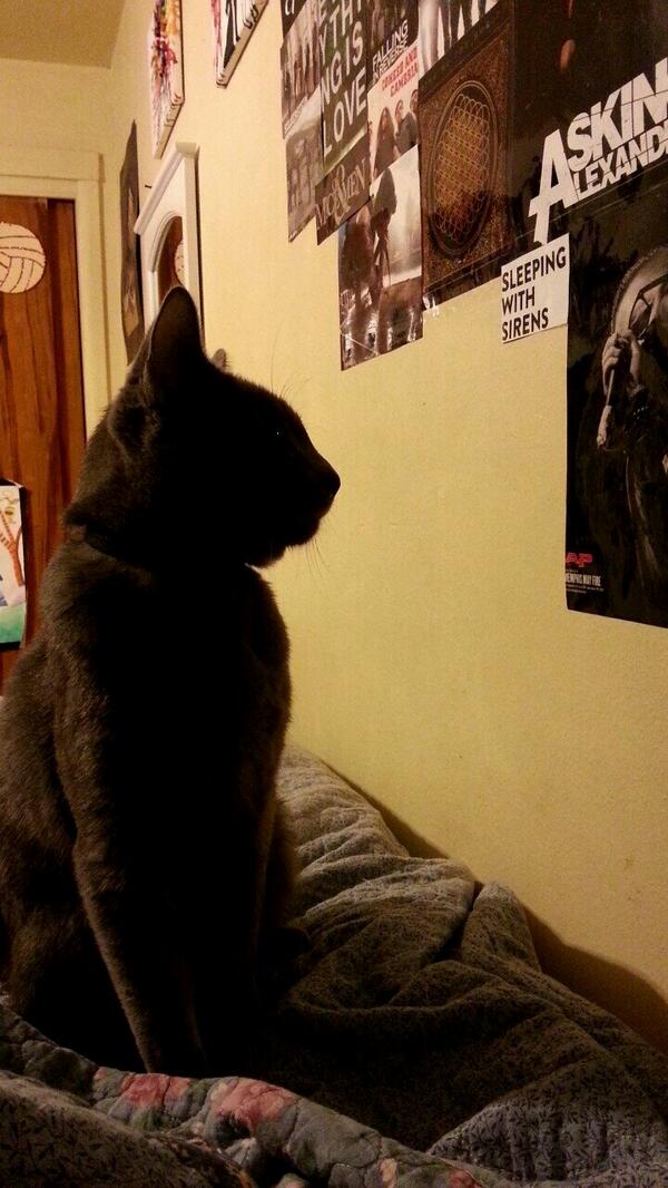 MattyMullins's tweet photo. Ha! 😂 RT @NoCaptainAshley: He likes to stare at @MattyMullins 
Man crush? I guess so♡ http://t.co/bmOhp3ckyR