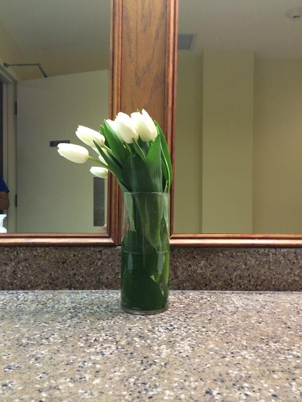 novak_ken's tweet photo. Gorgeous flowers for 40th bday celebration. #novakdesign http://t.co/Rb9ESV4VN1