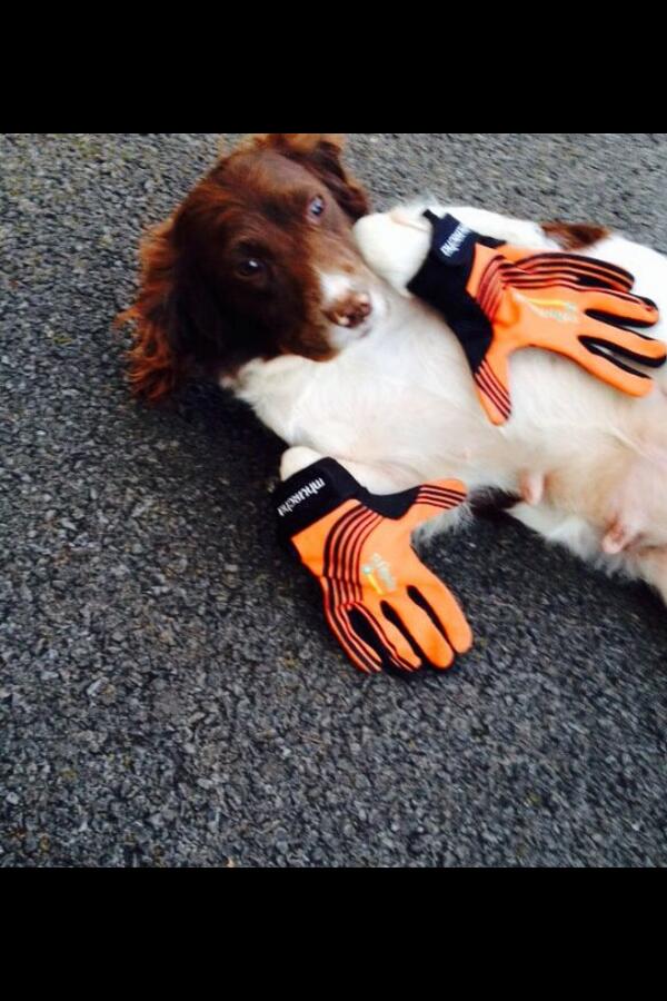Chilling after a ruff session! <a href="/murphysgloves/">ciaran murphy</a> @SeanMurf10