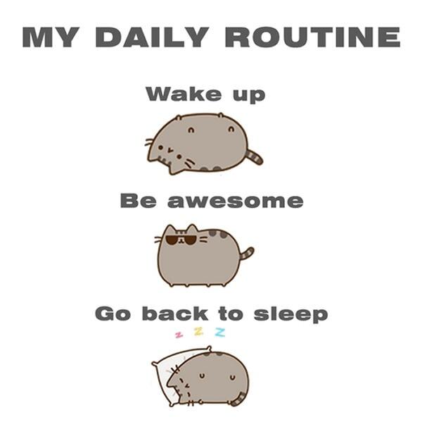 9GAG's tweet photo. Ladies and gentlemen, my daily routine... http://t.co/mhU17eH6Y2 http://t.co/Rk5ON2ygXM