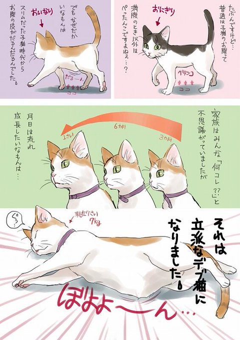 デブ猫のtwitterイラスト検索結果 古い順