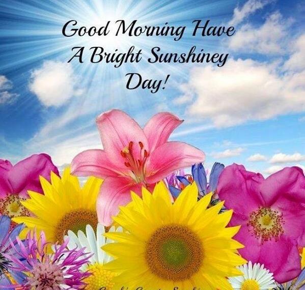 Raba A Atyiat Good Morning Awesome Jotweeps Have Great Sunday And Wish You All A Productive Week Jo Http T Co 6dmynigzrp Twitter Raba A Atyiat Good Morning Awesome Jotweeps Have Great Sunday And Wish You All A Productive Week Jo Http T Co 6dmynigzrp Twitter