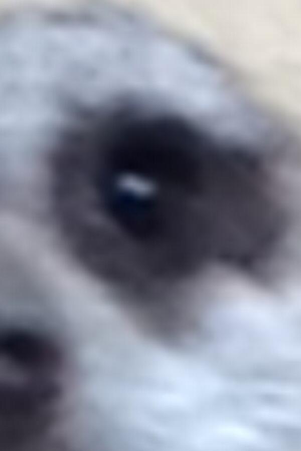 DoserJC's tweet photo. @akaTenzs do it http://t.co/Q5GEcczF9o