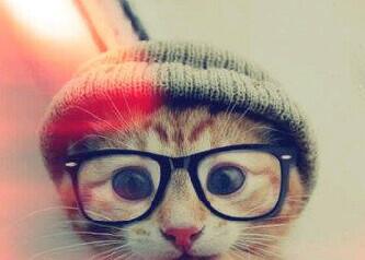 rendiisbianto's tweet photo. @Nini73151133 http://t.co/hDgXeV5t9m