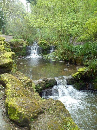 Have a walk through the glen, it is looking lovely.