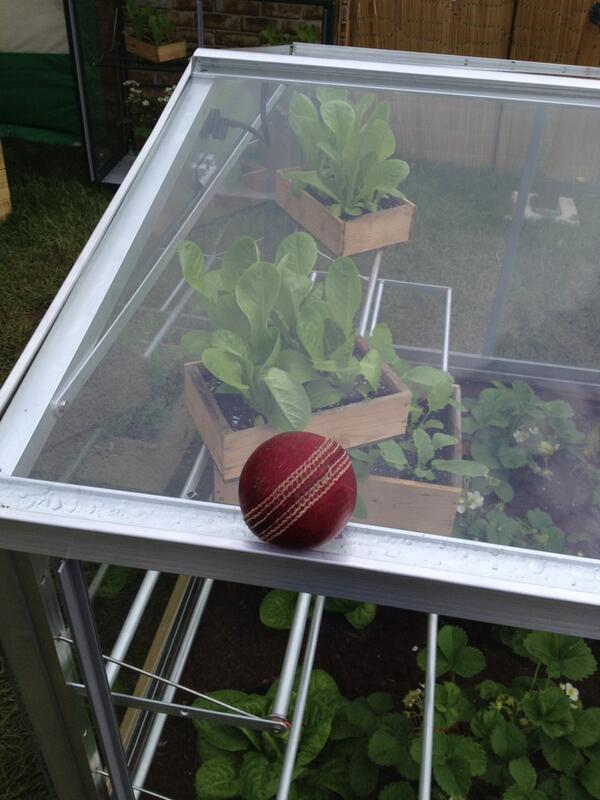 AccessGp's tweet photo. Were dropping cricket balls on our glass to show how tough our frames are! #kids  #gardening #harrogateflowershow http://t.co/2JamjsKzDc