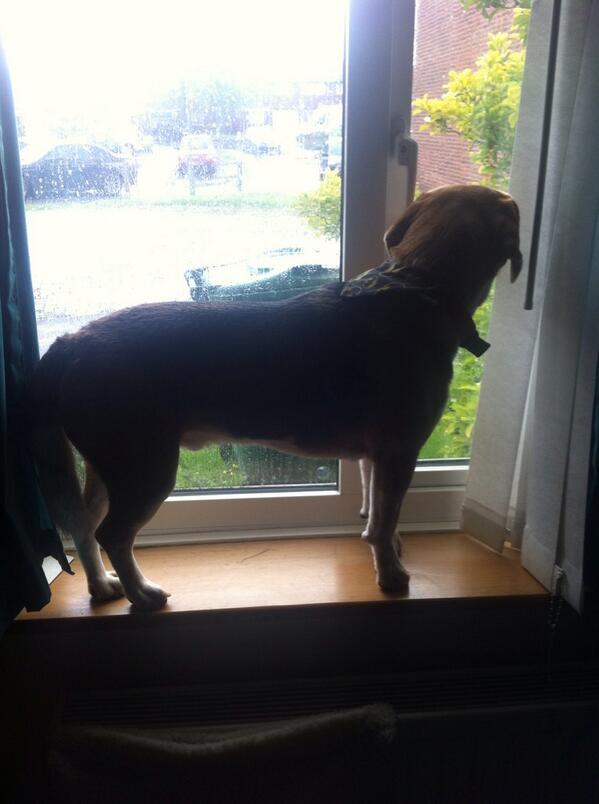 C'mon Mumma, it doesn't look *that* rainy out there, let's go!