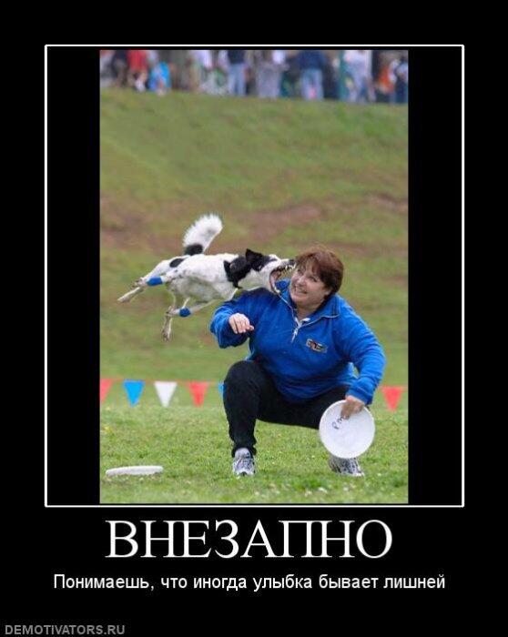 tkd_rt's tweet image. #RT
Прикольно )))