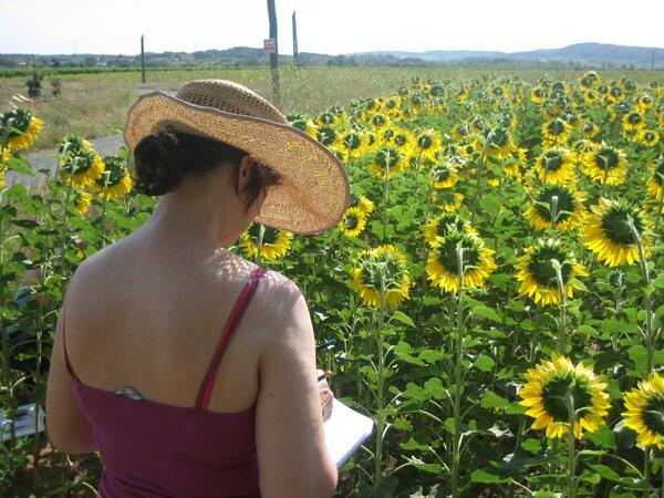 Sunday night browsing for a #holiday ? Art and yoga in the south of France sounds good #France #yoga #art