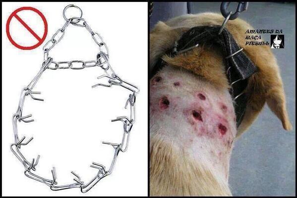 TuiterHits's tweet photo. RT para pedir al gobierno que prohiba estos collares. GRACIAS http://t.co/TECVIYEnzU