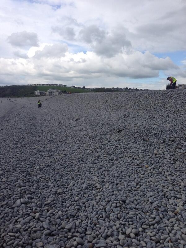 dan_ball78's tweet image. Beach clean down the Knap/Watchtower Bay #fobb #litter #allsorts #findabin #takeithome #keepbarrytidy