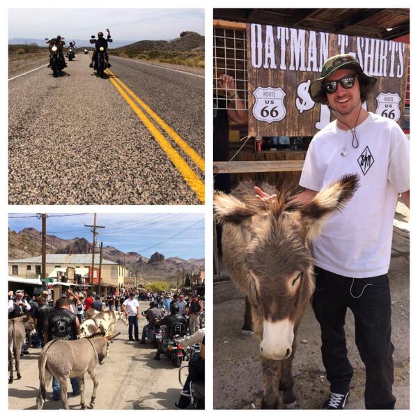 GregLutzka's tweet photo. Headed back to Cali ✌️🌴Good Times #LaughlinRun #2014 @HarleyDavidson !!!! http://t.co/BWqPYInqjD