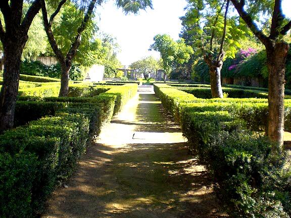 Maria7bf's tweet photo. @KQEDedspace green spaces are the lungs of the cities worldwide! #DoNow_urjc #DoNowGreen http://t.co/FOAgUn2Hat