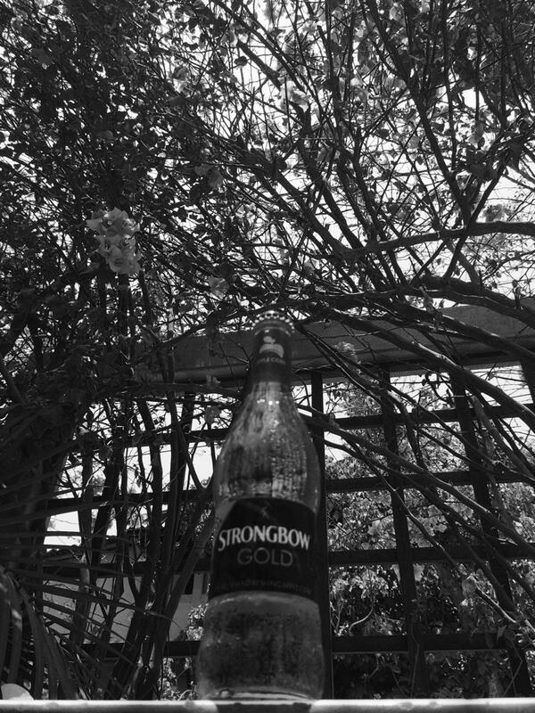 SabribriOlivera's tweet photo. De la serie "talk to plants. Ignore people" #strongbow #strongbowapplecider http://t.co/niC1AWgMdb