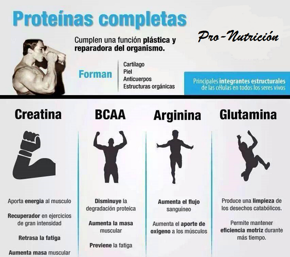 pronutrition73's tweet photo. Consejo sobre los aminoácidos en nuestro cuerpo: creatina, glutamina, BCAA y arginina http://t.co/uO3yypG6I8