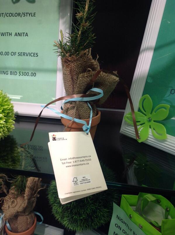 forestscanada's tweet image. All seedlings come with planting instructions to help grow the healthy forests of tomorrow