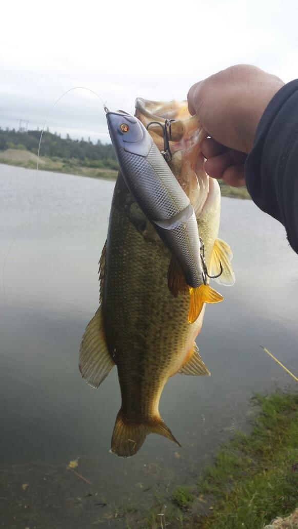 Catchin! Love my <a href="/River2SeaUSA/">River2Sea</a>, S waver.