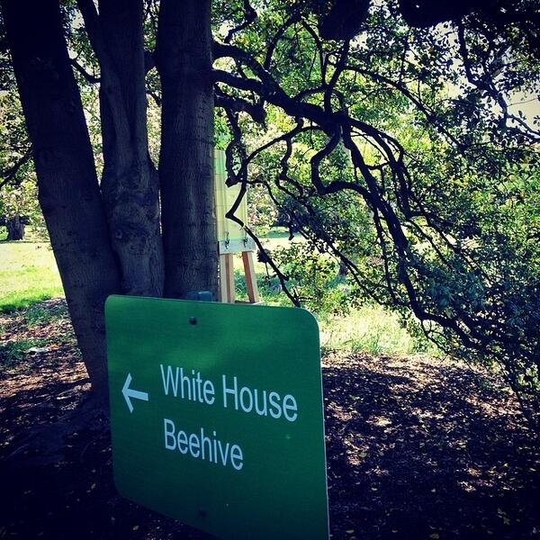 whphotos2013's tweet image. White House Beehive! #photoaday115 #whgarden #fuckyeahspring #whitehouse