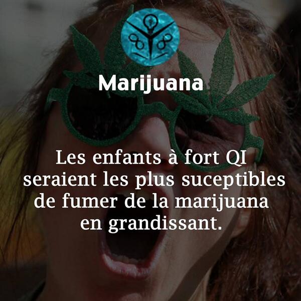 SaviezVousWeed's tweet image. 